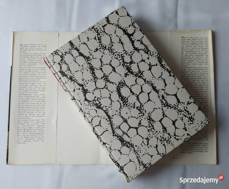 URANIA TIERREICH Annelida bis Chaetognatha podlaskie Hajnówka