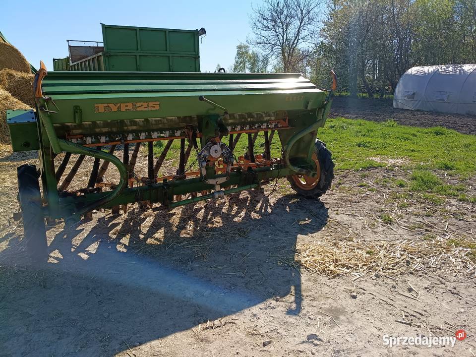 Siewnik zbożowy Amazone D7 Specjal typ 25 Amazone Siewniki i sadzarki świętokrzyskie Opatów