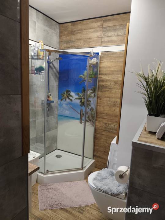 Bezczynszowe słoneczne mieszkanie Marki