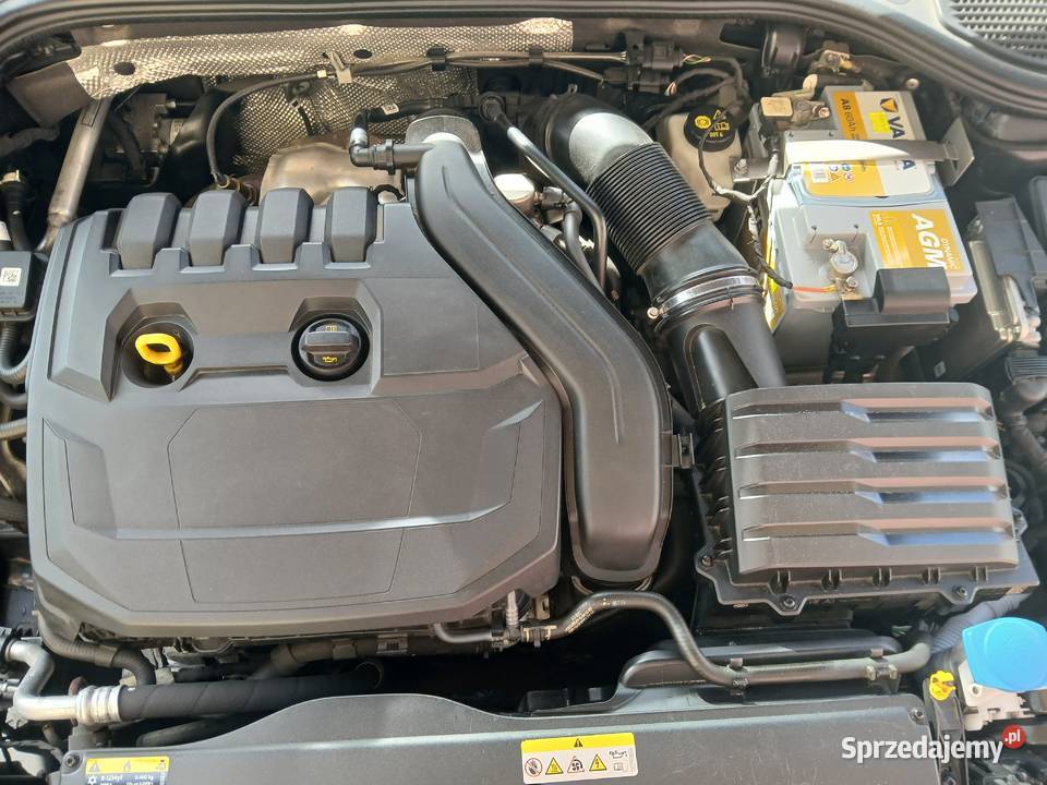 VW Golf 8 HB eTSI 150 MildHybryd Wrocław