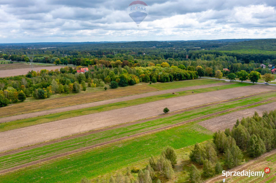 Spokojna działka 1400 m Skotniki Media WZ