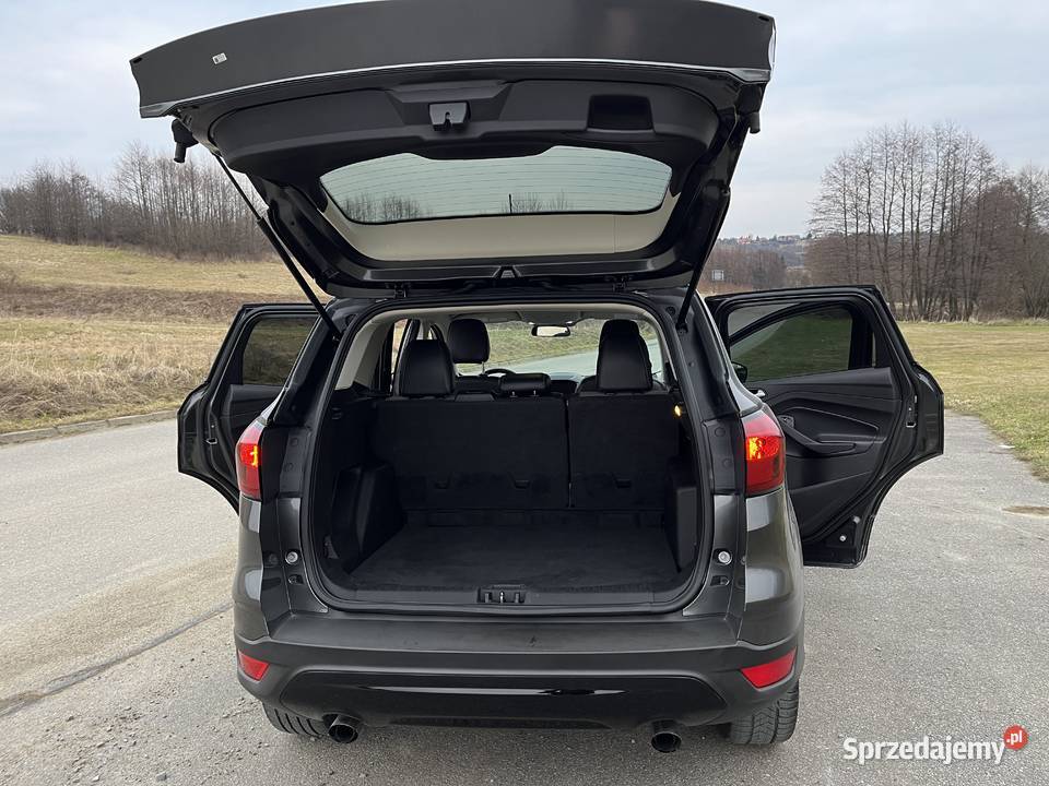 15 ECoBoost 180 Gwarancja Automat Navi Kamera 1500cm3 Sanok