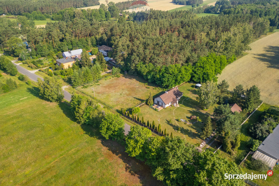 Ogrodzona działka budowlana Ludowinka powiat sprzedam