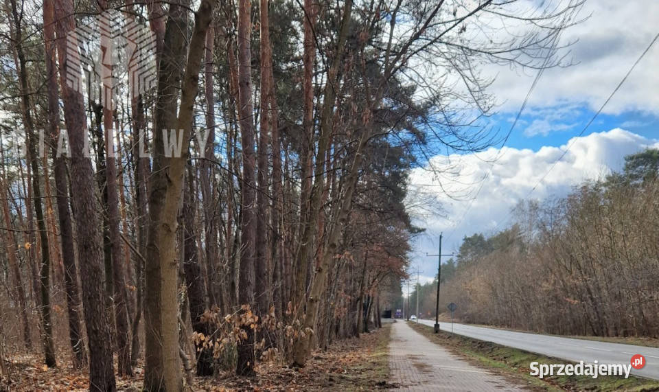 sprzedaży gruntu Łomianki Leśnych Dębów 2700 gaz