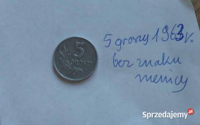 5gr Z lat PRelu Warszawa