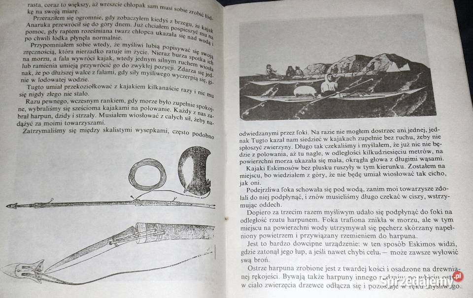 Anaruk chłopiec z Grenlandii Czesław Centkiewicz miękka Chełm sprzedam