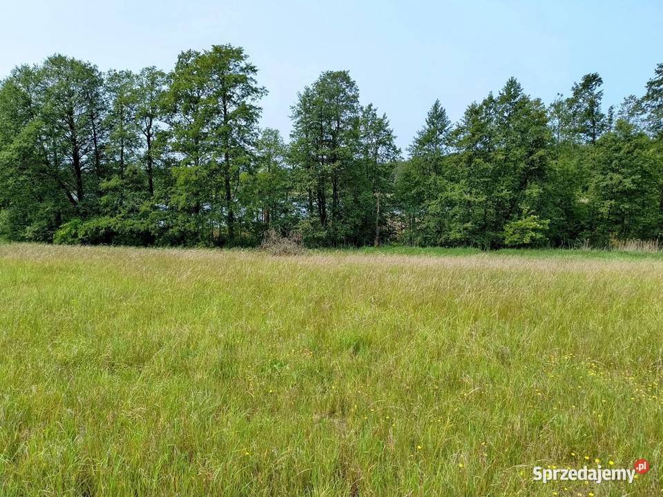 Działka z linią brzegową jeziora Wygryny w