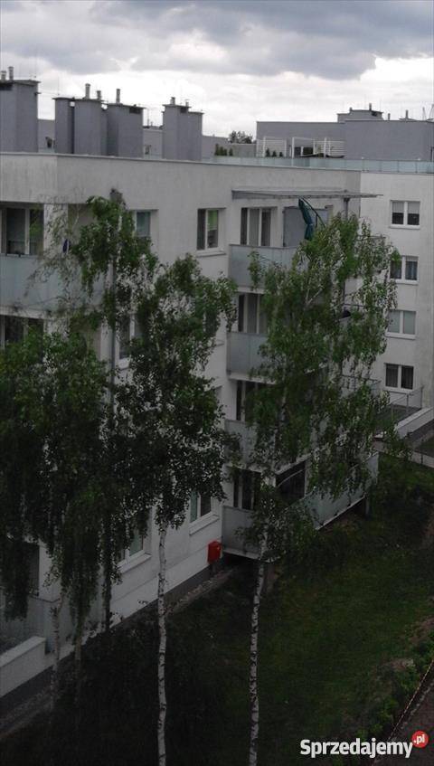 mieszkanie 70m2 3 pokoje Ząbki 5561.1zł/m2 Mieszkania