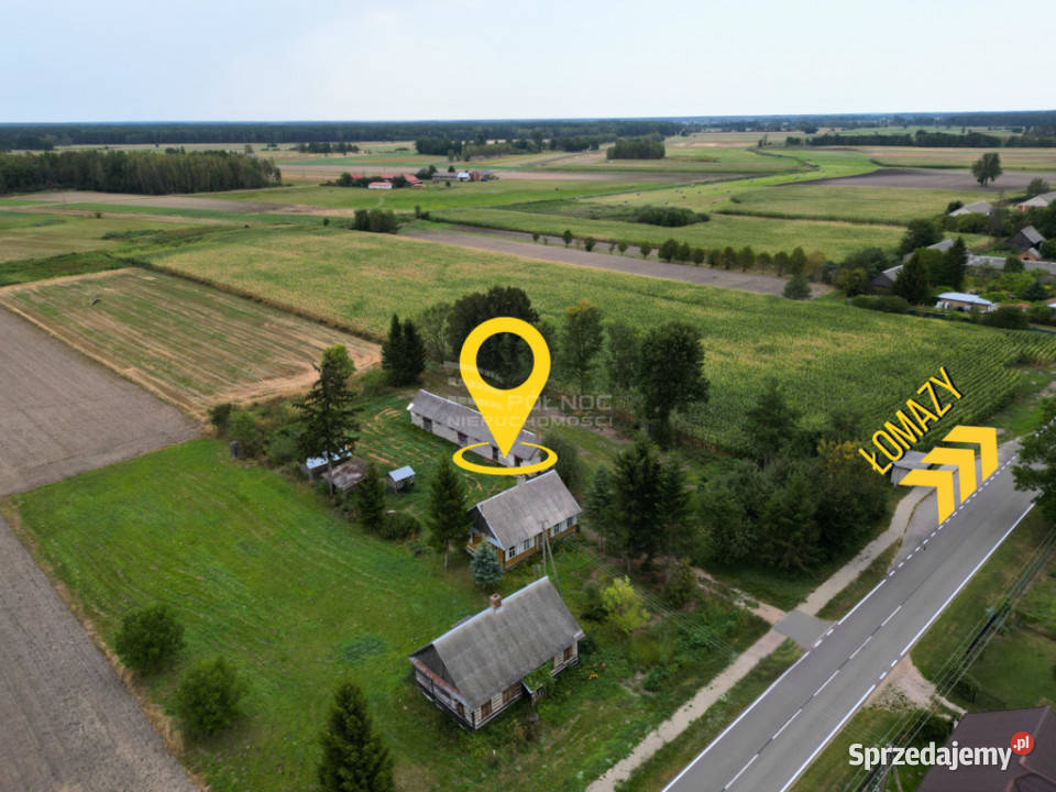 Siedlisko 11 ha w Kozłach Kozły