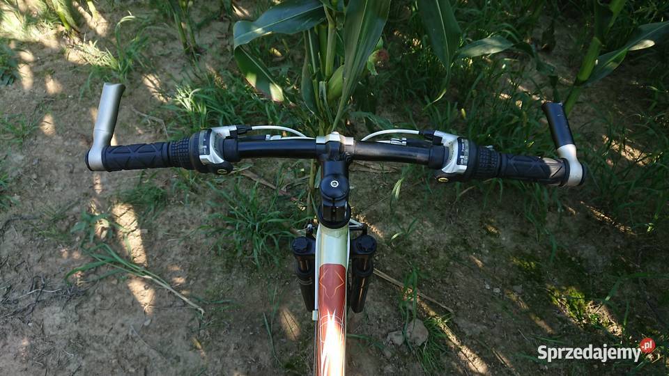 Rower DBS Edge Shimano SR Suntur
