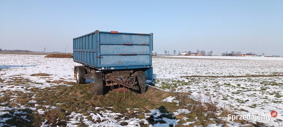 Hl 8011 IFA Ifa Kobylin sprzedam