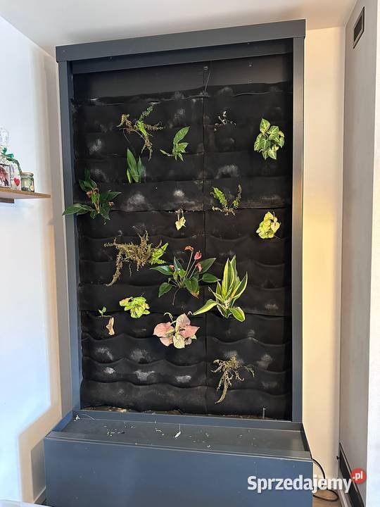 Ogród wertykalny z nawadnianiem Lublin