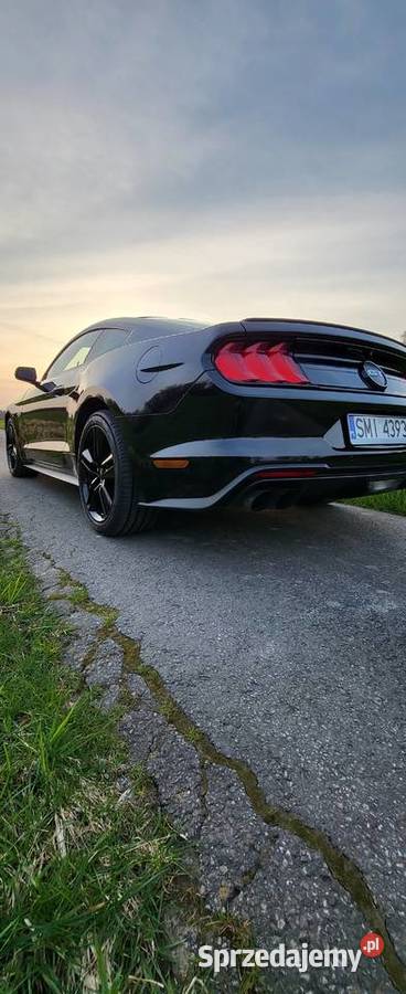 Ford Mustang 50 GT 450 koni Automat Mikołów