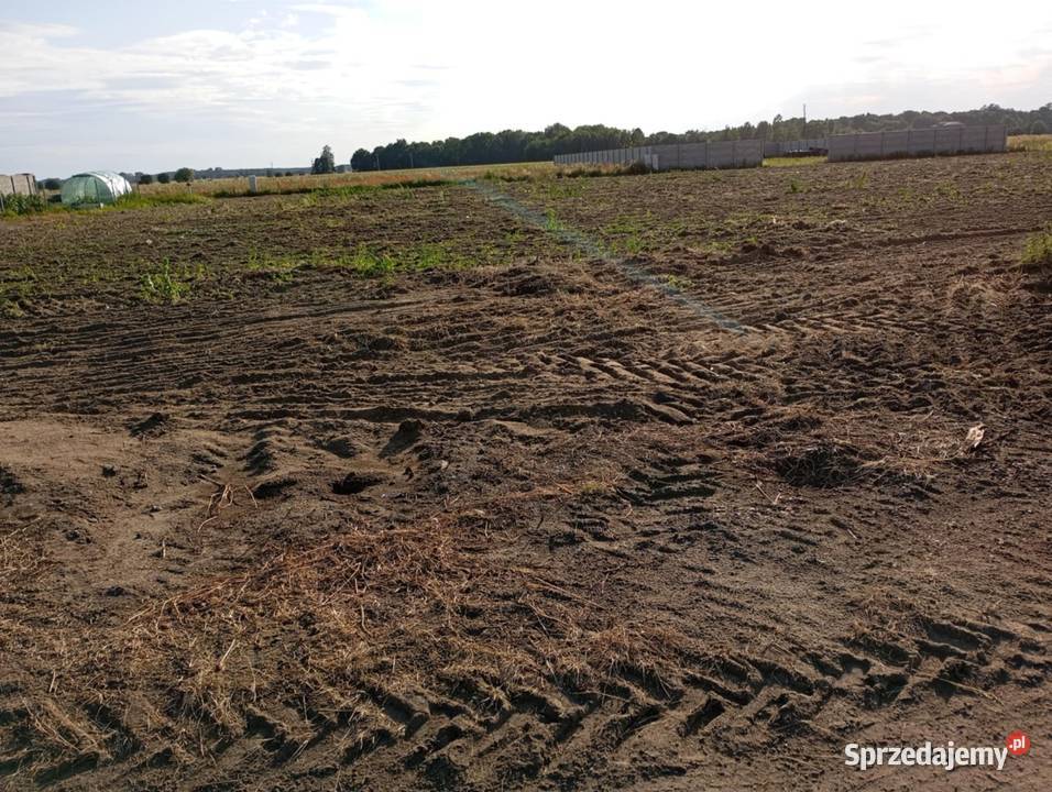 Sprzedam działkę budowlaną 2209m2 Wilkowo wielkopolskie Wilkowo Polskie