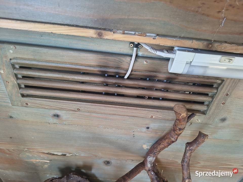 Terrarium plus wyposażenie Chorzew