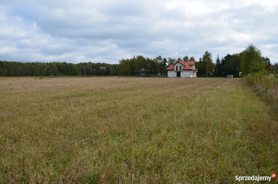 Piękna działka jez Białe Grunty i działki Gostynin