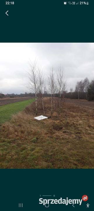 Działki rolnobudowlane 25zł/m2 Różanna