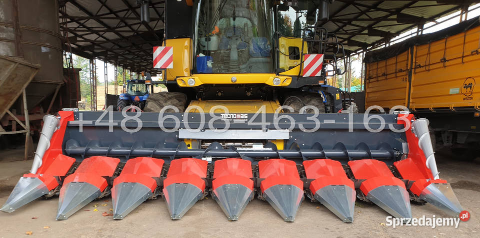 Przystawka do kukurydzy TECNOMAIS 5 rzędowa Gołaczewy