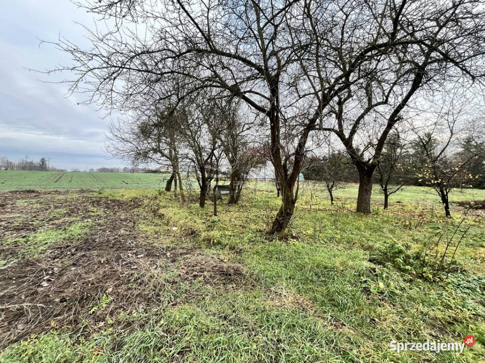 Działka z zabudowaniami w HostynnemKolonii budowlana Hostynne-Kolonia