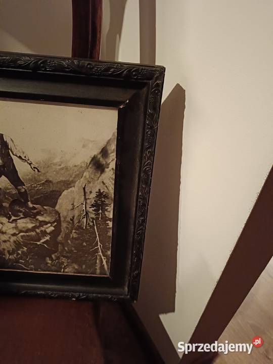 Stare zdjęcie szkłem obrazu myśliwskiego Lipno