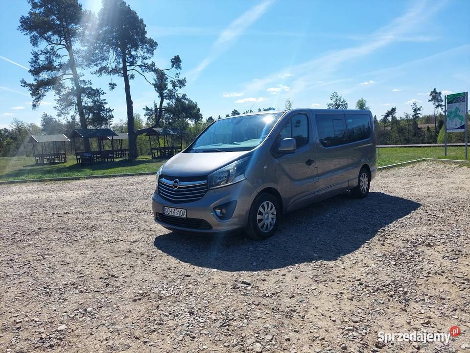 Bus 9 osób Vivaro 16 2019 nieuszkodzony