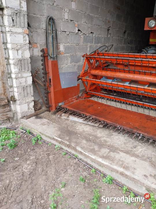 Kombajn Bizon ZO56 Zbożowe wielkopolskie Kaliszany