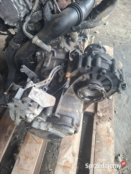 Silnik 19 TDI 130