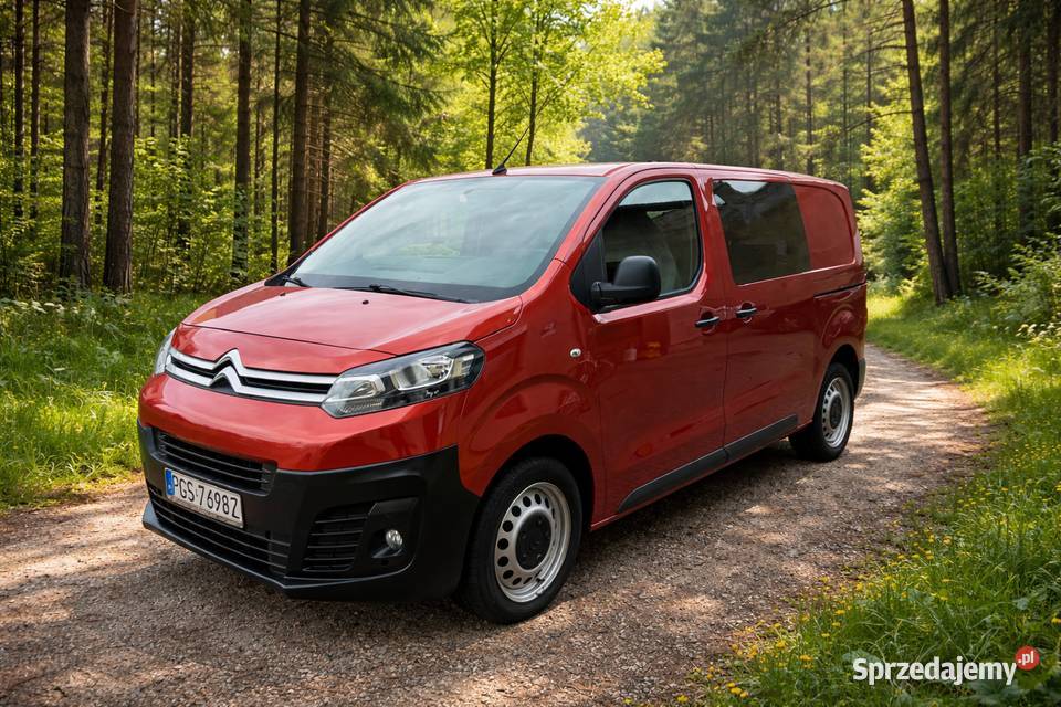 Citroen Jumpy 3 brygadowka wielkopolskie