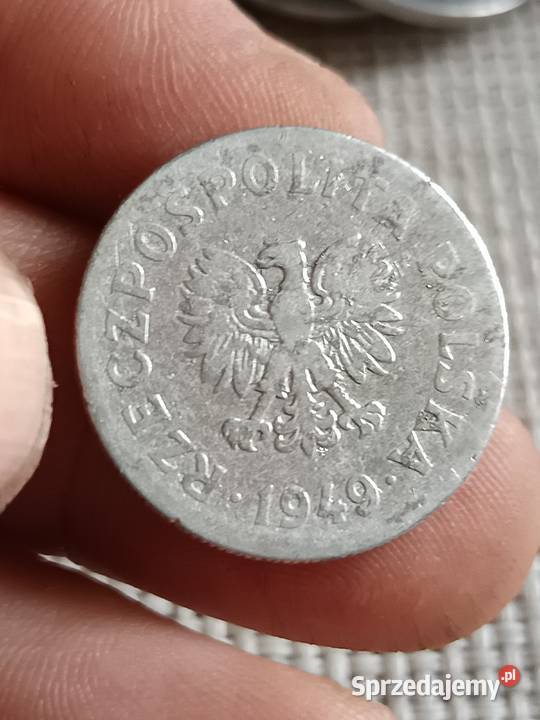 Sprzedam 50 gr 1949 r ccz Chełm