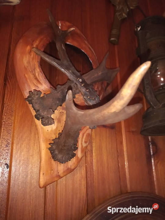 Wieszak z poroża Rękodzieło podkarpackie Leżajsk