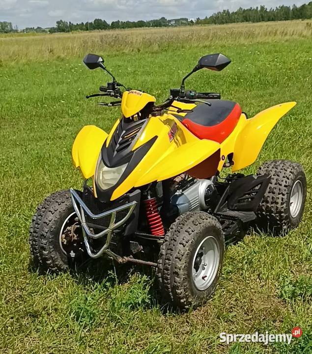 Quad Dinli 300 Masai Motoryzacja Busko-Zdrój