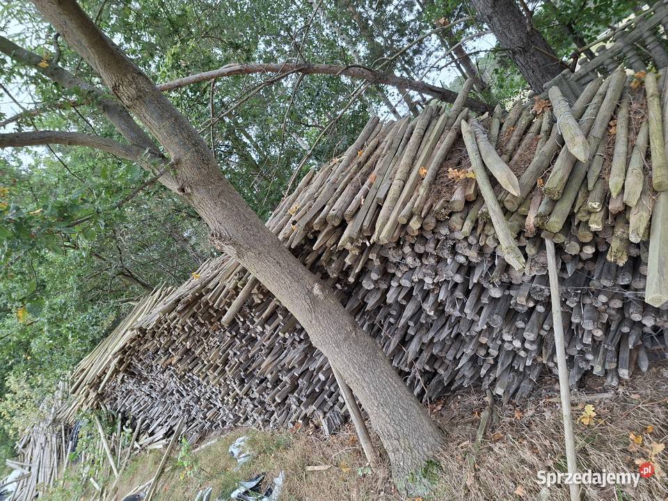 Drewno opałowe paliki dł120