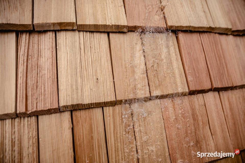 Gont Łupany Modrzewiowy Dębowy Gonty Alpejskie małopolskie Kraków