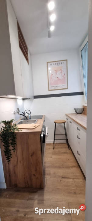 Piękna kawalera świetna Łódź