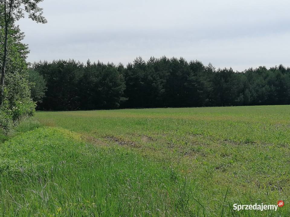 grunt idealny na budowę rezydencji Sprzedaż wielkopolskie Nowy Tomyśl sprzedam