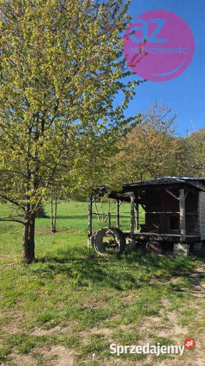 Działka budowlana w Rdziostowie gmina Chełmiec Rdziostów sprzedam