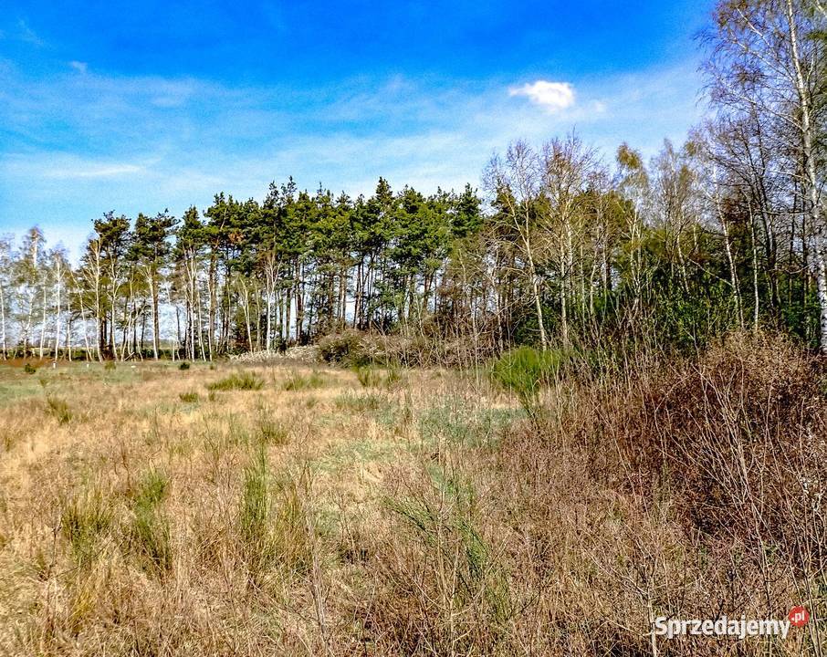 Działka z Warunkami Zabudowy 1500m2 Bądkowo