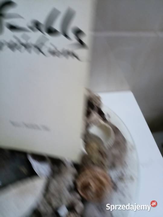 Szablą i piórkiem Alina Janowska aktorka życie Rok wydania 1986 Warszawa