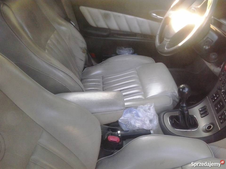 Fajna alfa zielony Chojna