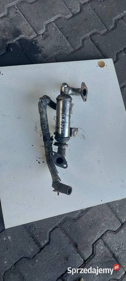 Chłodniczka chłodnica EGR Ford Focus C connect zachodniopomorskie Szczecin