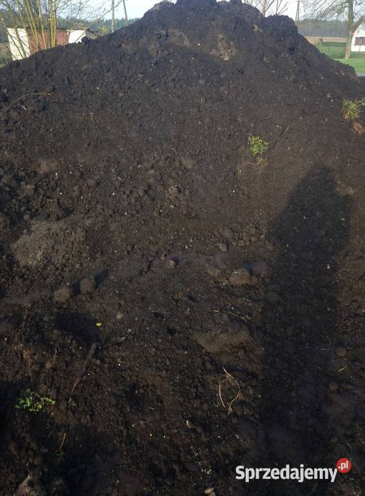 Czarnoziemziemia ogrodowa Choszczno