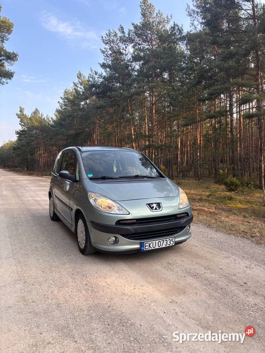 Peugeot 1007 2006 Gostynin