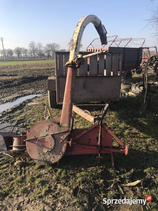 Sieczkarnia jednorzędowa krone Rypin