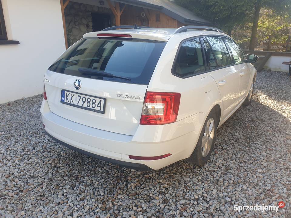 Skoda Octavia Skoda Octavia III 20 TDI 150 DSG Rok produkcji 2019 Nowy Targ sprzedam