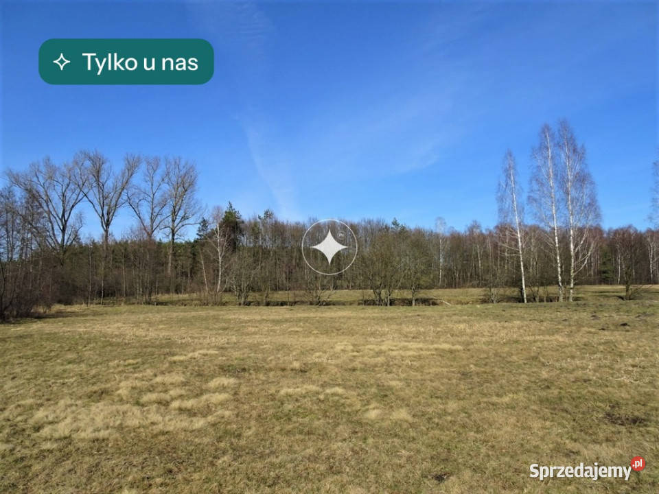 Łąka i las w Cieleśnicy Cieleśnica