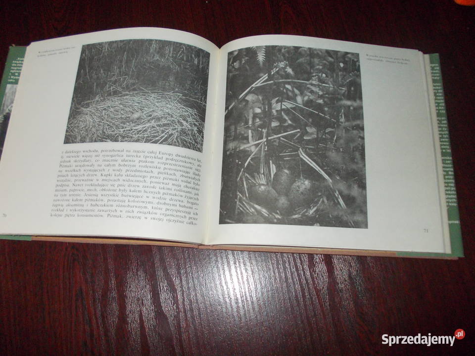 Kampinoskie bobry Piotr Topiński 1565 Pozostałe Stalowa Wola sprzedam