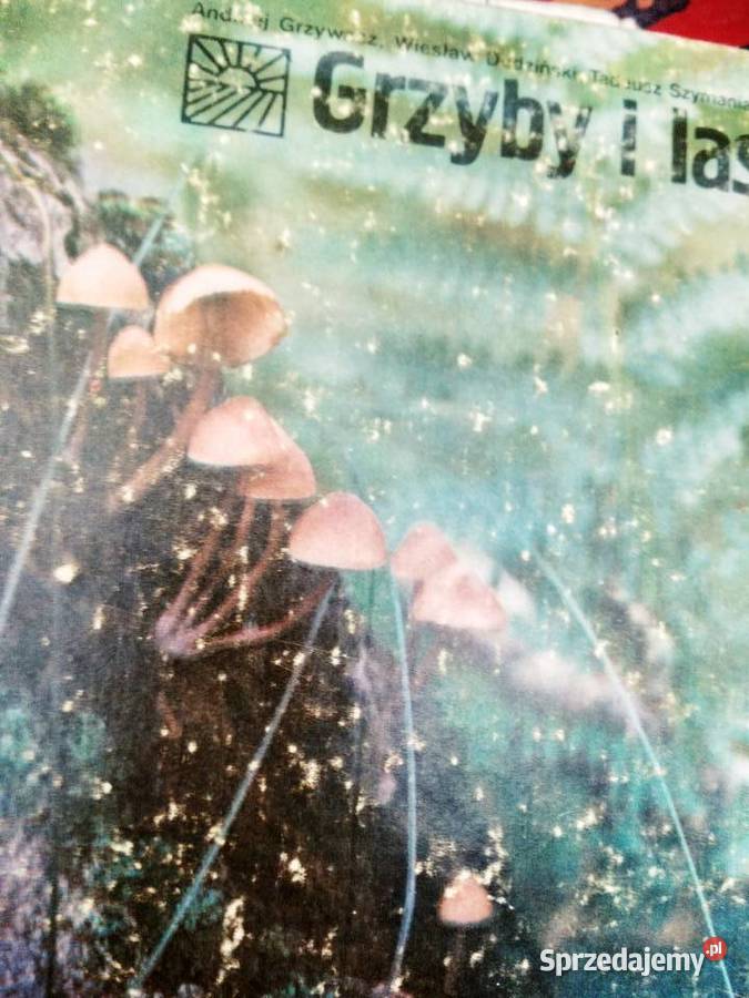 Prezenty Grzyby i las książki Bródno Warszawa