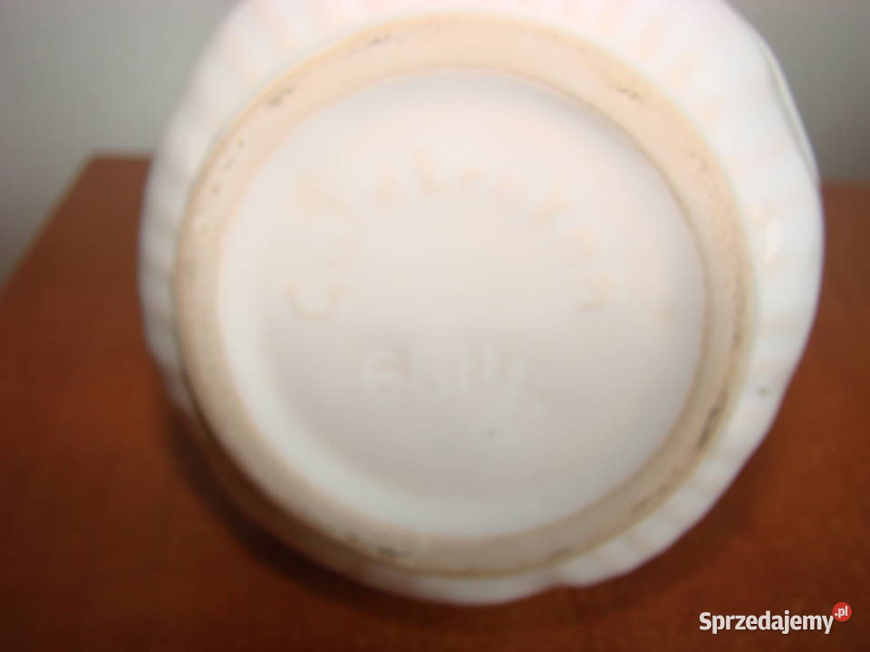 Guldkroken HjoSweden mały dzbanekmlecznik pomorskie