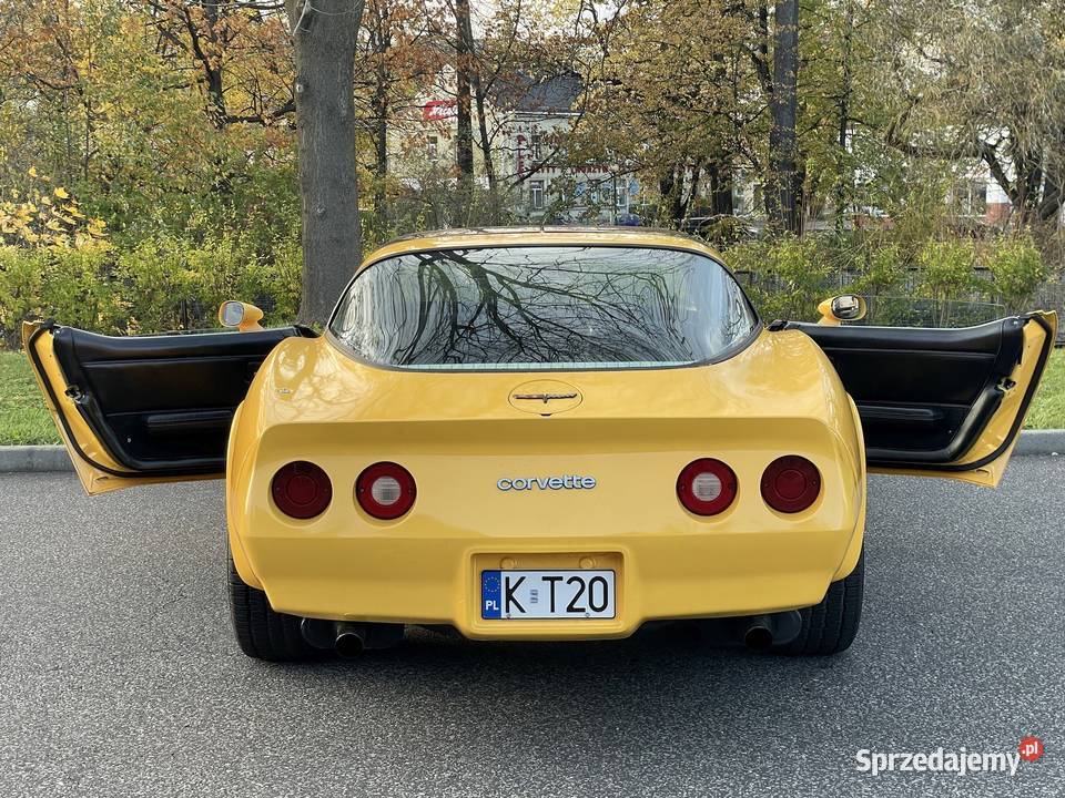 Corvette Stingray C3 1981 r Motoryzacja Bielsko-Biała