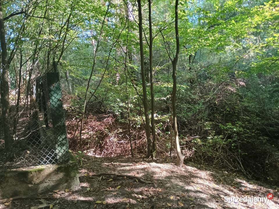 Syndyk sprzeda Sadek budowlana Nieruchomości